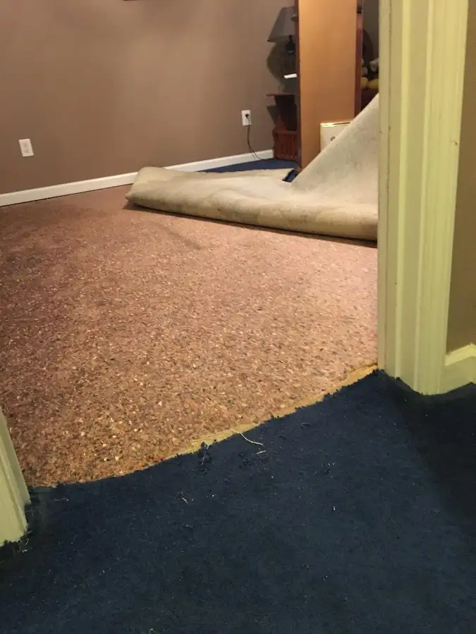 Carpet pad removal revealing water damage during Drying & Dehumidification in Sumter